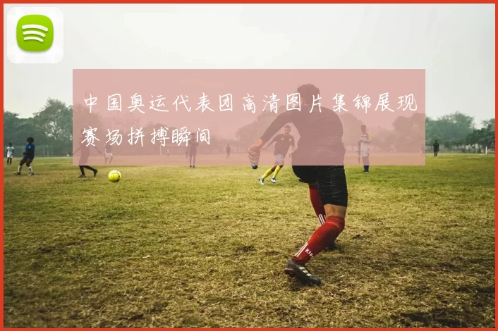 中国奥运代表团高清图片集锦展现赛场拼搏瞬间