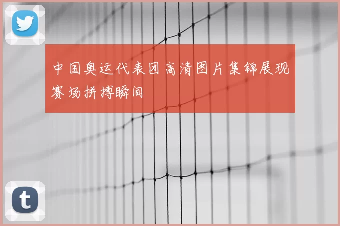 中国奥运代表团高清图片集锦展现赛场拼搏瞬间